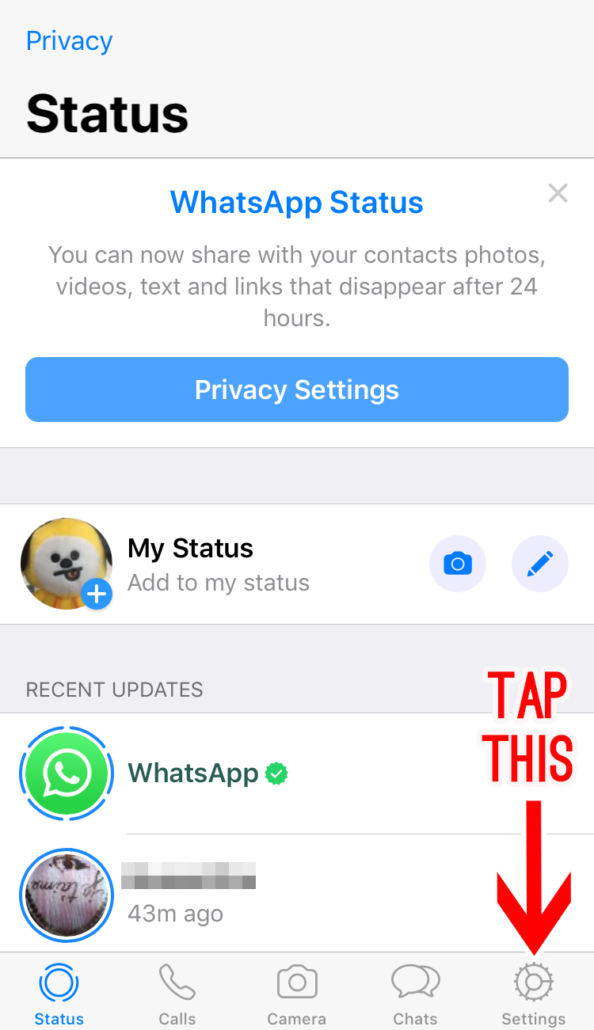 How to Change Chat Background on WhatsApp: Own It | dohack